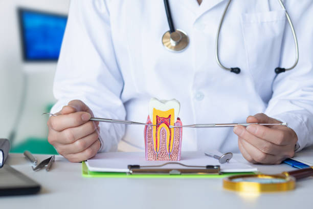 Best Emergency Dental Care for Broken or Chipped Teeth in Biltmore Forest, NC